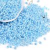 Lustered Glass Seed Beads SEED-K010-04B-1