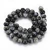 Natural Hawk's Eye Beads Strands G-S333-8mm-034-2