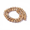 Natural Fossil Coral Beads Strands G-F648-02-C-2