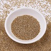 MIYUKI Delica Beads SEED-MY11-DB0901-2