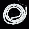 Natural Trochid Shell/Trochus Shell Beads Strands SSHEL-S266-020A-01-2