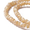 Natural Trochid Shell/Trochus Shell Beads Strands SSHEL-O001-24B-01-2