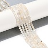 Natural White Moonstone Beads Strands G-G139-A14-03-2