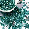 Glass Seed Beads SEED-H002-A-A617-1