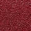 MIYUKI Round Rocailles Beads SEED-G008-RR0426-3