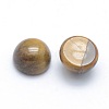 Natural Tiger Eye Cabochons X-G-P393-R26-6mm-2