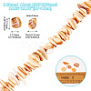 1 Strand Natural Seashell Shell Beads Strands SSHEL-TA0001-13-3