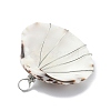 Natural Clam Shell Copper Wire Wrapped Pendants PALLOY-JF02056-01-3