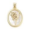 Rack Plating Brass Pave Shell Pendants KK-Z064-28G-06-1