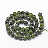 Natural Canadian Jade Beads Strands G-R446-10mm-08-2