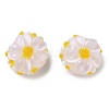 Handmade Lampwork Enamel Beads LAMP-Z020-05C-1
