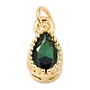 Real 18K Gold Plated Brass Inlaid Cubic Zirconia Charms ZIRC-L100-077G-3