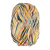 Light Gradient Segment Dyed Polyester Yarn DIY-TADJ0002-005G-2