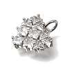 Brass Pave Cubic Zirconia Charms CU-CBAEEA8-13A-P-2