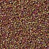 MIYUKI Delica Beads X-SEED-J020-DB0501-3