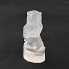 Natural Selenite Figurines DJEW-Q006-01G-3