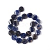 Natural Sodalite Beads Strands G-O120-14-3