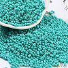 Baking Paint Glass Seed Beads SEED-A033-05O-1