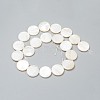 Natural Freshwater Shell Beads BSHE-I011-01A-02-2