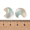 Baking Paint Transparent Glass Beads DGLA-F003-01G-3