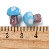 Handmade Lampwork Beads LAMP-F034-01F-3