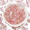 Spray Painted Glass Seed Beads SEED-A034-01B-2