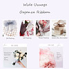 Organza Ribbon RS6mmY048-7