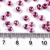 6/0 Glass Seed Beads X-SEED-A015-4mm-2209-4