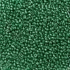 12/0 Glass Seed Beads X-SEED-A017-2mm-1114-2