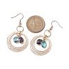 Glass Oval Dangle Earrings EJEW-JE05724-2