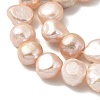 Natural Cultured Freshwater Pearl Beads Strands PEAR-A006-10F-4