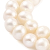 Natural Cultured Freshwater Pearl Beads Strands PEAR-C003-13F-4