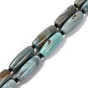 Natural Tibetan dZi Agate Beads Strands G-NH0018-C01-01-1