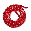Transparent Glass Beads Strands GLAA-Z018-C19-2