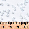 8/0 Glass Seed Beads SEED-S061-A-979-5