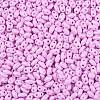 Baking Paint Glass Seed Beads SEED-T006-03L-2