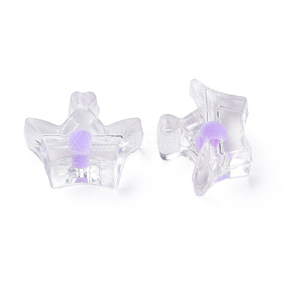 Transparent Acrylic Beads LS-MACR-S373-105-B02-1