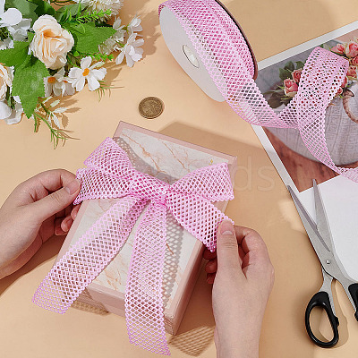 Polyester Hollow Grid Ribbons OCOR-WH0105-107B-1