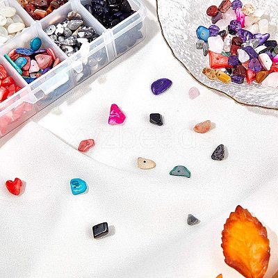 Gemstone Beads and Dyed Shell Beads G-NB0001-50-1