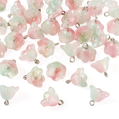 38Pcs Glass Charms GLAA-TADJ0001-19C-1