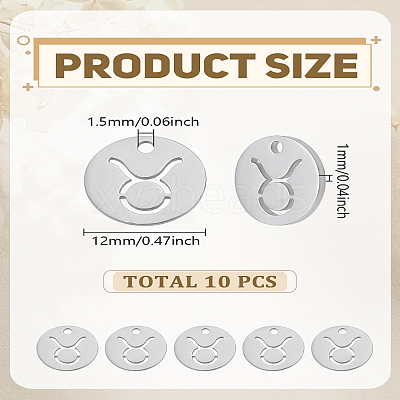 10Pcs 304 Stainless Steel Charms STAS-LP0003-19A-1