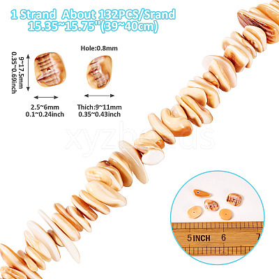 1 Strand Natural Seashell Shell Beads Strands SSHEL-TA0001-13-1