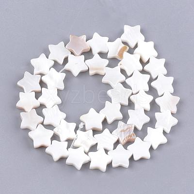 Freshwater Shell Beads Strands SHEL-Q021-07-1