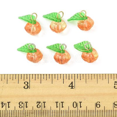 20Pcs 2 Colors Glass & Acrylic Pendants PALLOY-FS00051-1