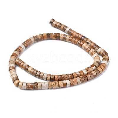 Natural Picture Jasper Beads Strands G-Z006-C28-1