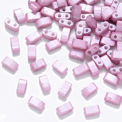 FGB 2-Hole Baking Paint Glass Seed Beads SEED-S031-M-599-1
