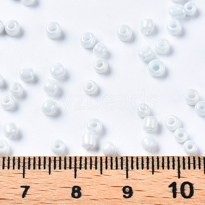 8/0 Glass Seed Beads SEED-S061-A-979-1