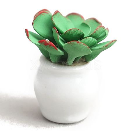 Potted Succulent Clay with Porcelain Mini Model PW-WG86ED7-01-1