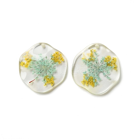 Inner Dried Flower Transparent Resin Pendants LS-RESI-A043-04C-1