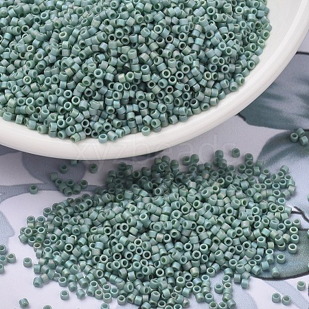 MIYUKI Delica Beads SEED-J020-DB2313-1